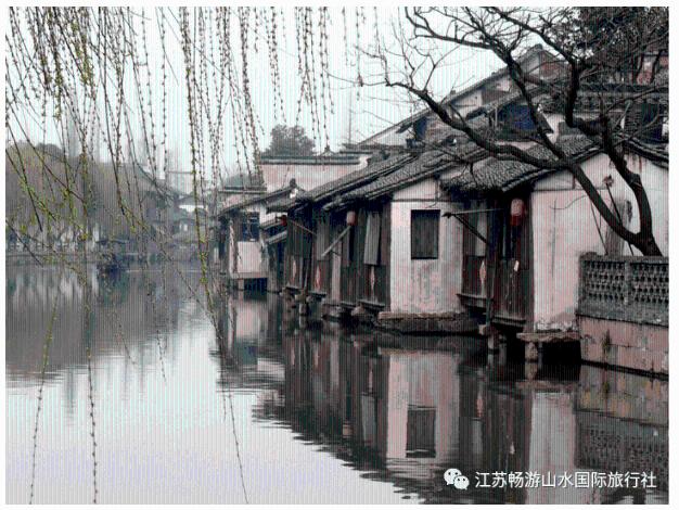 解码一只鹅“链出”大产业！开平市优之名马冈鹅产业纪实